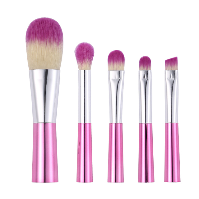 5Pcs Pink Makeup Brushes Set